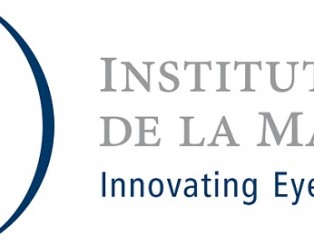 INSTITUT-NOU LOGO x Web (gris real) 3108