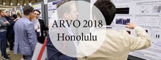 arvo 2