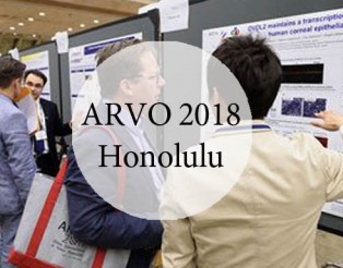 arvo 2