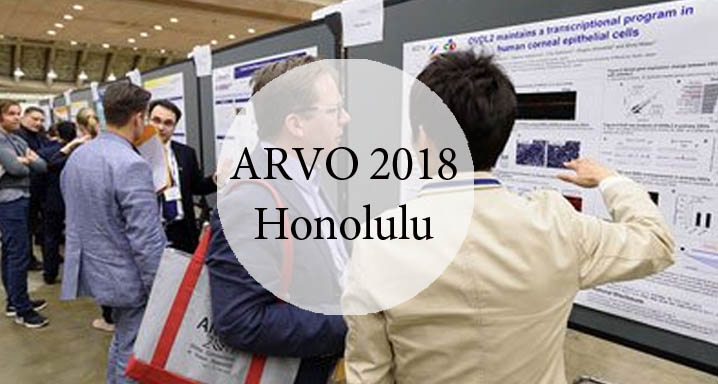 arvo 2